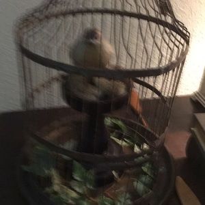 Meet your Posher, Annette